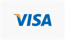 Visa payment icon